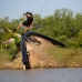 OBRIEN WAKEBOARD FREEMONT 133 CM PARK SERIES